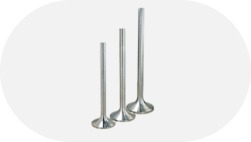 Diesel Engine Exhaust Valves for Ships