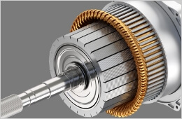 Steel capable of eliminating softening annealing treatment before cold forging