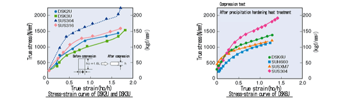 Technical Data_DSK