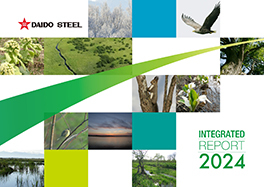 INTEGRATED REPORT 2024