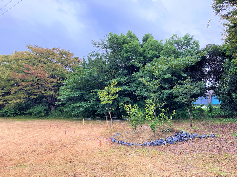 生き物マウンド全景.