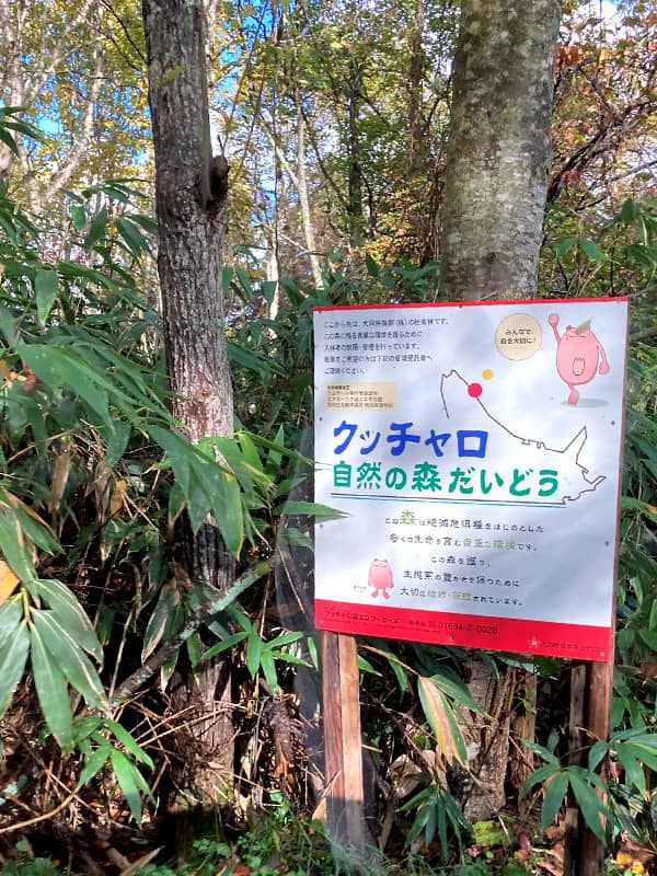 植樹祭の様子